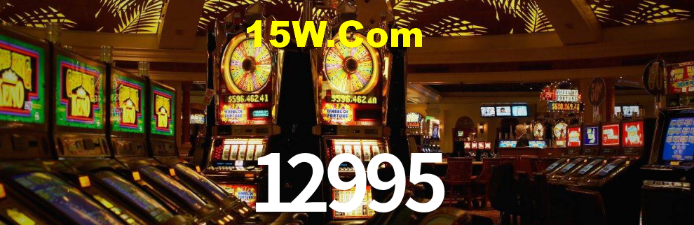 Premium Interface 12995